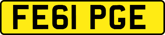 FE61PGE