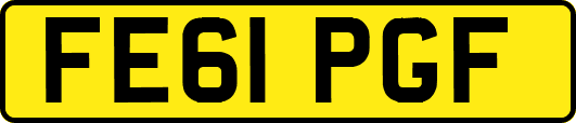 FE61PGF