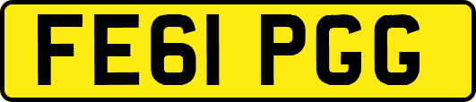 FE61PGG