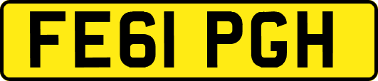 FE61PGH