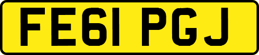 FE61PGJ