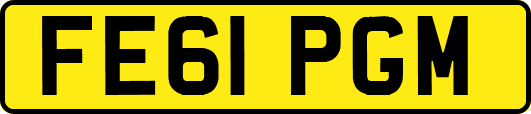 FE61PGM