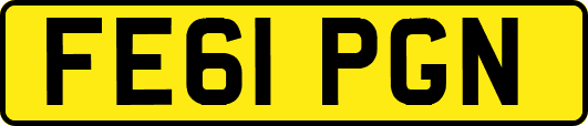 FE61PGN