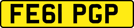 FE61PGP