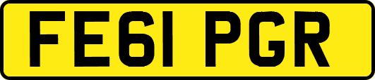 FE61PGR