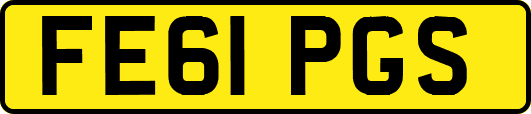 FE61PGS