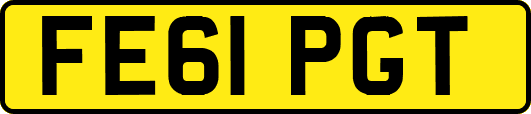 FE61PGT
