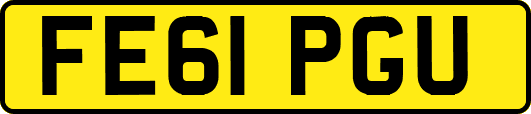 FE61PGU