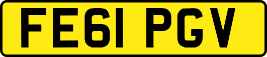 FE61PGV