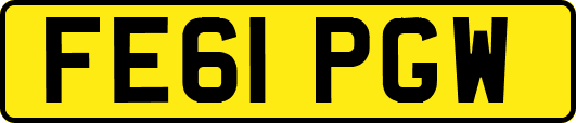 FE61PGW