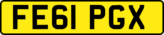 FE61PGX