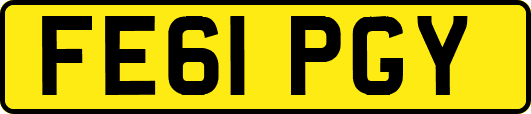 FE61PGY