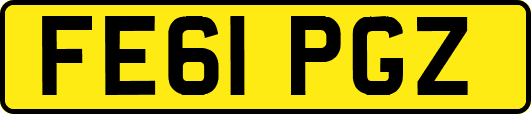 FE61PGZ