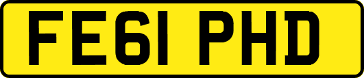 FE61PHD
