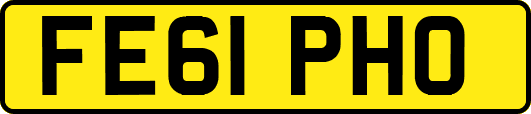 FE61PHO