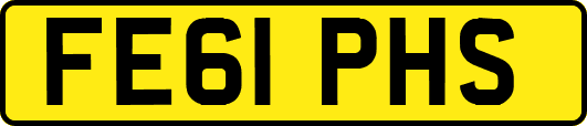 FE61PHS