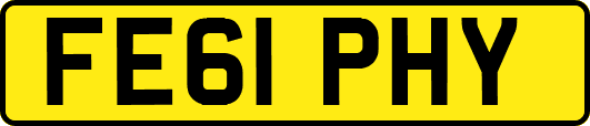 FE61PHY