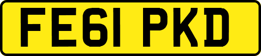 FE61PKD