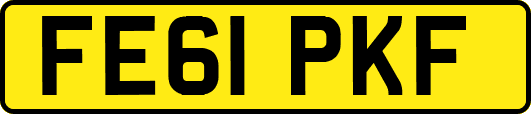 FE61PKF