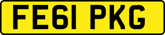 FE61PKG