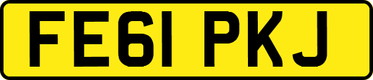 FE61PKJ