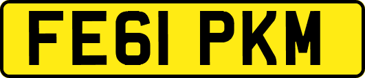 FE61PKM