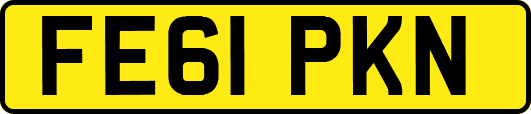 FE61PKN