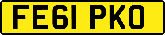 FE61PKO