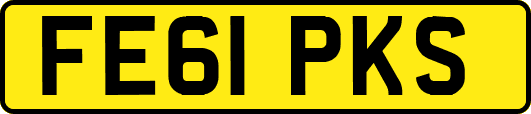 FE61PKS