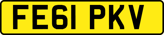 FE61PKV