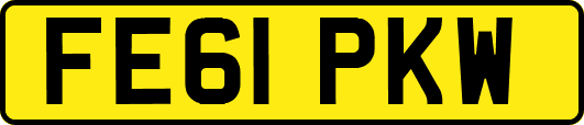 FE61PKW