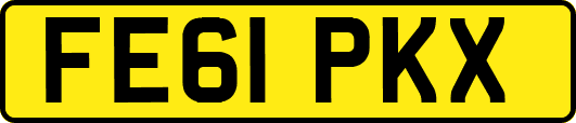FE61PKX