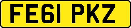 FE61PKZ
