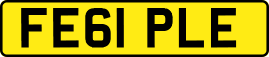 FE61PLE