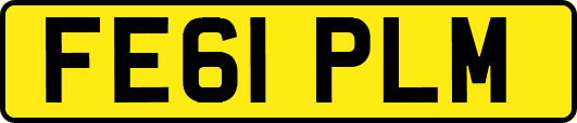 FE61PLM