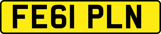 FE61PLN