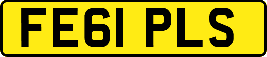 FE61PLS