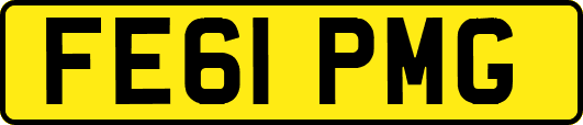 FE61PMG