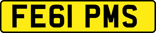 FE61PMS