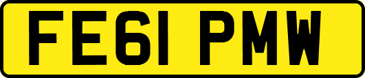 FE61PMW
