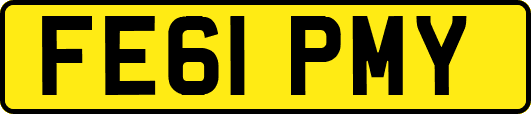 FE61PMY