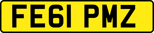 FE61PMZ