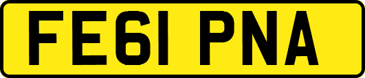 FE61PNA