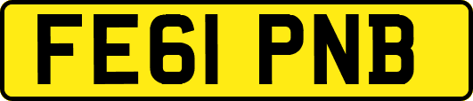FE61PNB