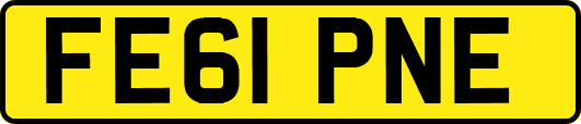 FE61PNE