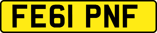 FE61PNF