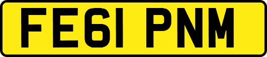 FE61PNM