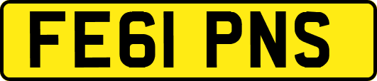 FE61PNS