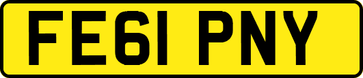 FE61PNY