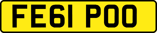 FE61POO